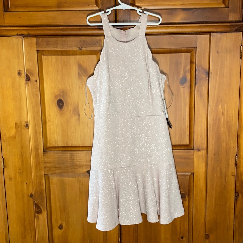 NWT Trixxi Blush Colored Sparkle Fancy Formal Dress